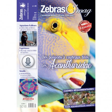 ZebrasO'mag n°49 ZebrasO'mag n°49