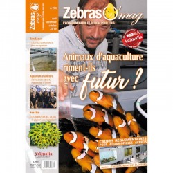 ZebrasO'mag n°50