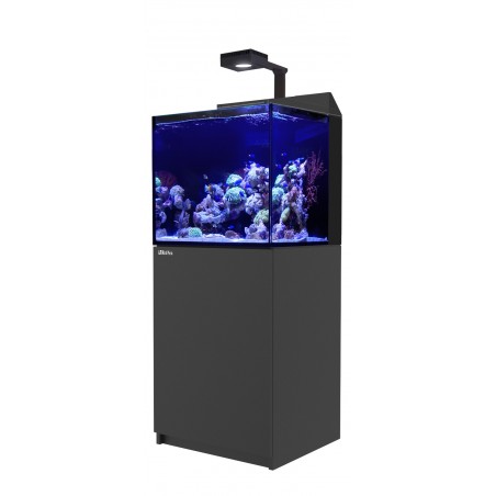 RED SEA MAX E-170-Noir RED SEA MAX E-170-Noir