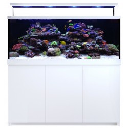 RED SEA MAX S650- Blanc