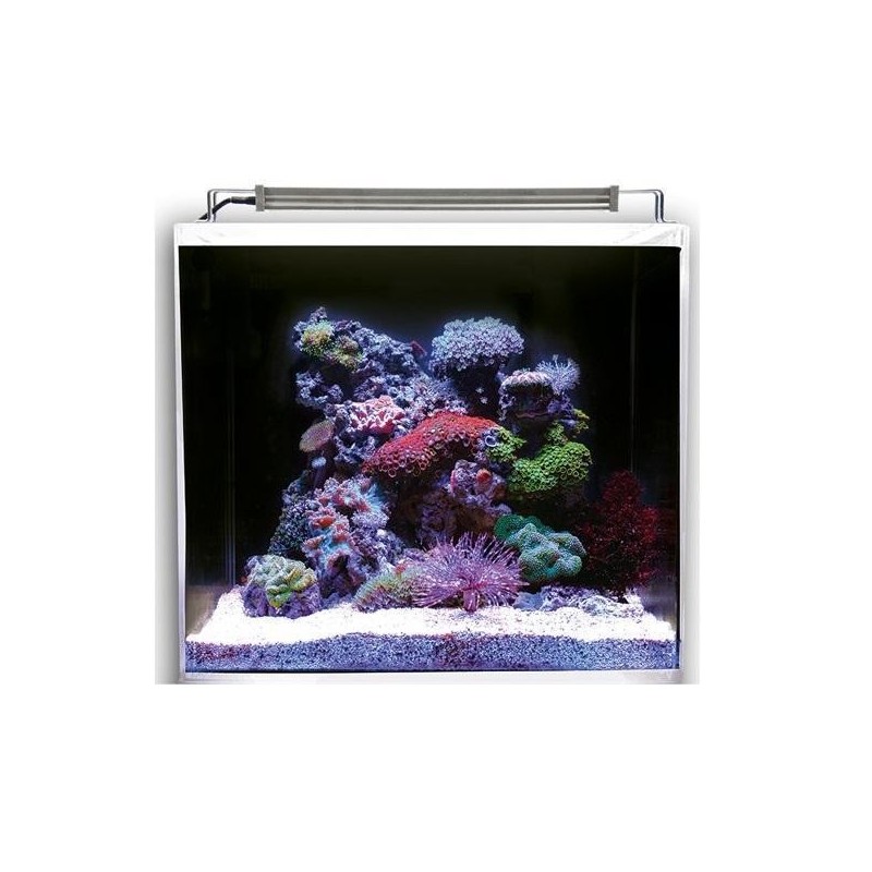 DUPLA MARIN Nano Ocean Cube Set 80- Nano aquarium marin
