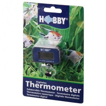 HOBBY Thermomètre Numérique