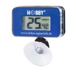 HOBBY Thermomètre Numérique