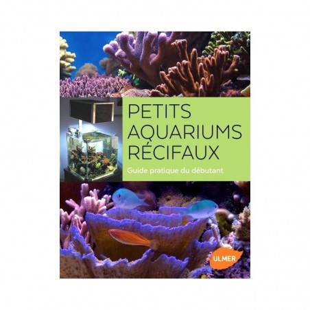 Poissons-clowns en Aquarium- Guide de soins et reproduction