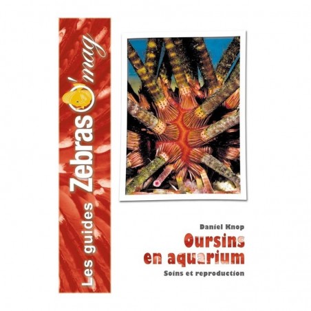 Oursins en aquarium- Guide de soins et reproduction