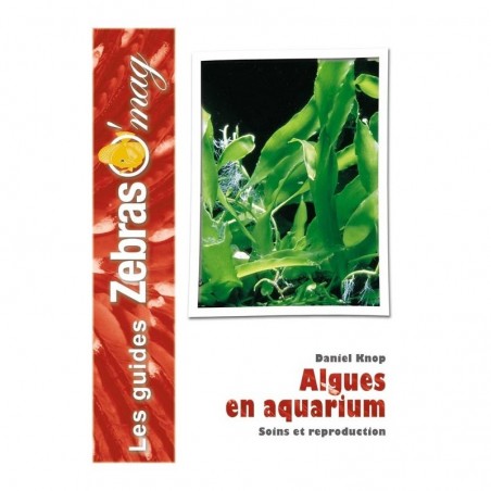 Algues en aquarium marin- Guide de soins et reproduction