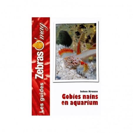 Gobies nains en aquarium- Guide de soins et reproduction
