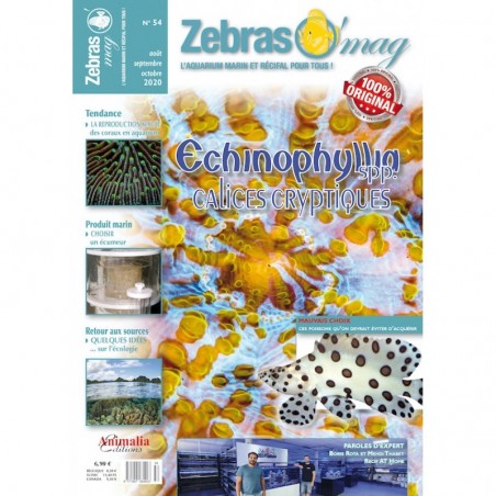 ZebrasO'mag n°54 ZebrasO'mag n°54