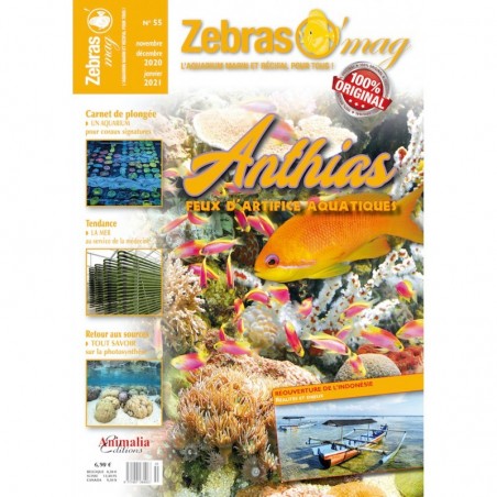 ZebrasO'mag n°55 ZebrasO'mag n°55
