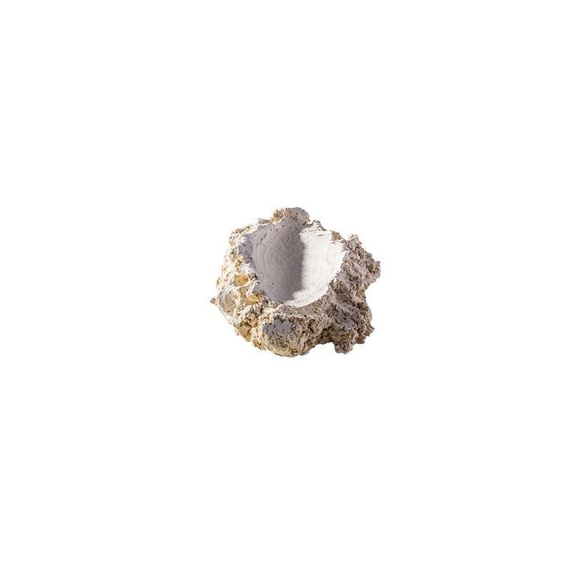 ARKA Céramique Shell Holder M- Suppot à bénitier