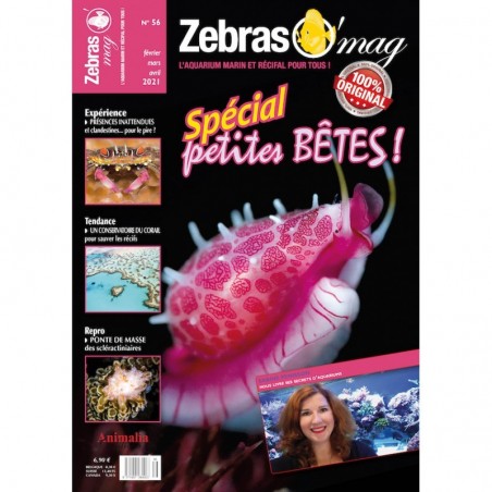 ZebrasO'mag Nr. 56 ZebrasO'mag Nr. 56