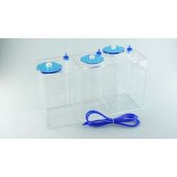 CORAL BOX Liquid fluid box 3 x 1.5 L