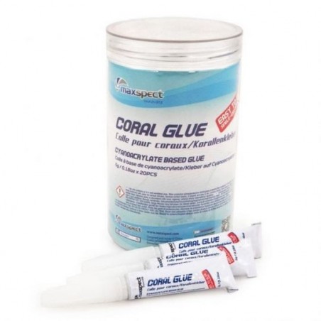 MAXSPECT Coral Glue- Pot de 20 x 5 gr