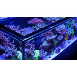 RED SEA REEFER-S 850 G2- Blanc