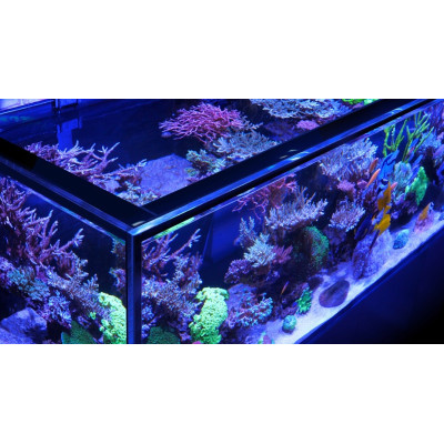 RED SEA REEFER-S 1000 - Schwarz