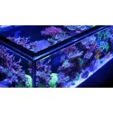RED SEA REEFER-S Deluxe 1000 G2+- Blanc