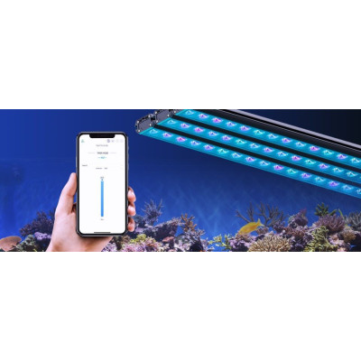 Reef Factory Reef Flare BAR 60 - Angeschlossene LED-Leiste 60 cm