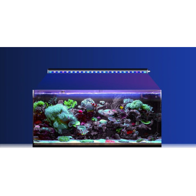 Reef Factory Reef Flare BAR 60 - Angeschlossene LED-Leiste 60 cm