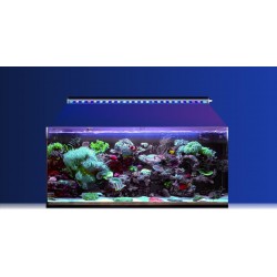 Reef Factory Reef Flare BAR 120- Barre LED connectée 120 cm
