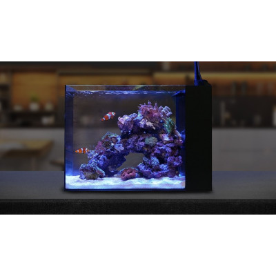 WATERBOX Peninsula Mini 25- Aquarium 90 L WATERBOX Peninsula Mini 25- Aquarium 90 L