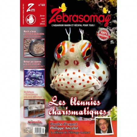 ZebrasO'mag n°60 ZebrasO'mag n°60