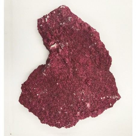 Real Reef Rock Shelf Rock – umweltfreundliche Steine für Aquarien Real Reef Rock Shelf Rock – umweltfreundliche Steine für Aquarien
