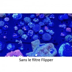 FLIPPER Flip-Kick - Filtre photo pour smartphone et tablette