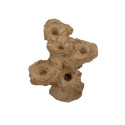 AQUAROCHE Zoa Garden Mini - H 12 cm
