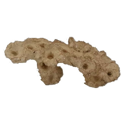 AQUAROCHE Zoa Garden Schräges Tablett- 23 x 11 x 14 H cm AQUAROCHE Zoa Garden Schräges Tablett- 23 x 11 x 14 H cm