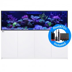 RED SEA REEFER-S 1000- Blanc
