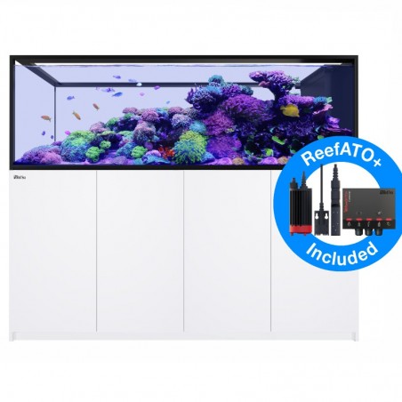 RED SEA REEFER Peninsula 950 G2+- Blanc