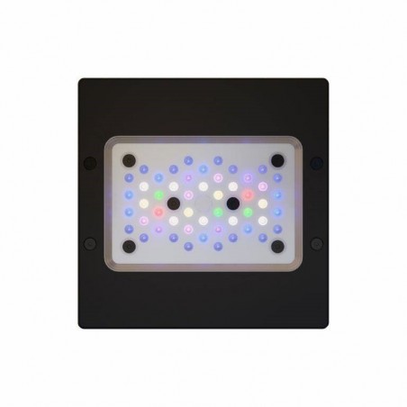 ECOTECH Radion XR15 G6 PRO- Eclairage LED