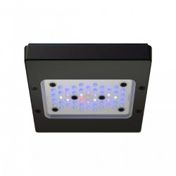 ECOTECH Radion XR15 G6 Blue- Eclairage LED