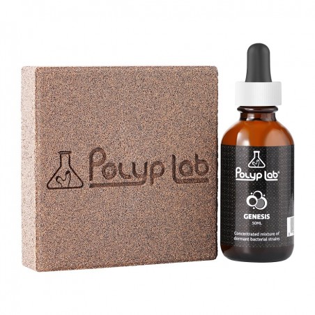 POLYPLAB Genesis Rock Booster- Pack de 2 + Bactéries 50 ml POLYPLAB Genesis Rock Booster- Pack de 2 + Bactéries 50 ml