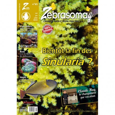 ZebrasO'mag n°65 ZebrasO'mag n°65