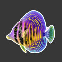 LAZY COFFEE DESIGN Rainbow Sailfin Tang Sticker - Autocollant