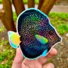 LAZY COFFEE DESIGN Gem Tang Sticker / Holographic - Autocollant