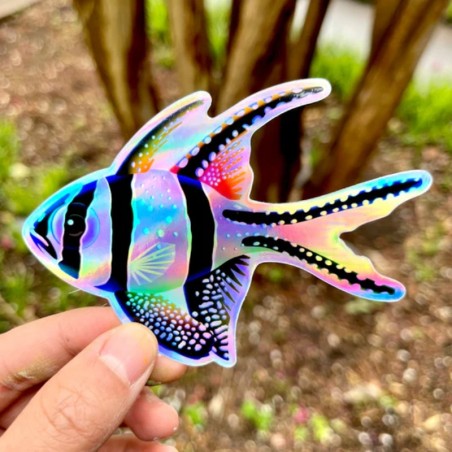 LAZY COFFEE DESIGN Rainbow Banggai “Fin” sticker/ Holographic - Autocollant