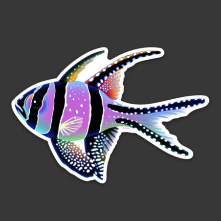 LAZY COFFEE DESIGN Rainbow Banggai “Fin” sticker - Autocollant