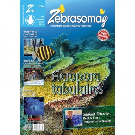 ZebrasO'mag n°66 ZebrasO'mag n°66