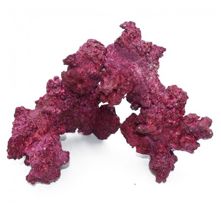Real Reef Rock Arche – umweltfreundliche Steine für Aquarien Real Reef Rock Arche – umweltfreundliche Steine für Aquarien