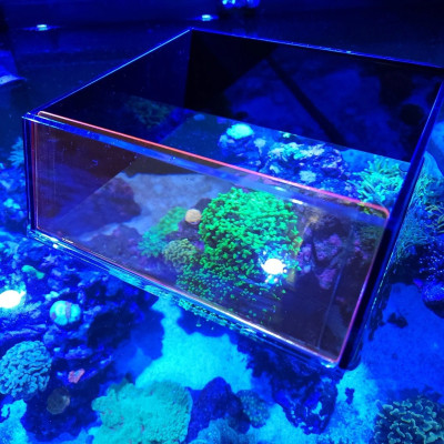 FLIPPER Top-Down-Viewer – mit abnehmbarem Orangenfilter