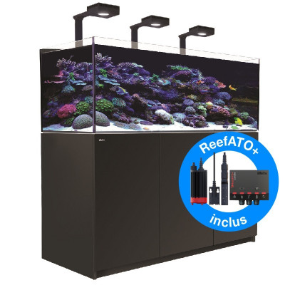 RED SEA REEFER Deluxe XL 525 G2+- Schwartz RED SEA REEFER Deluxe XL 525 G2+- Schwartz