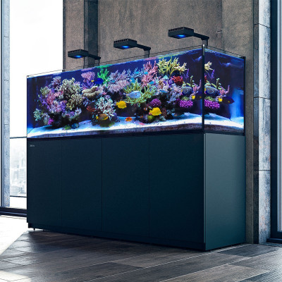 RED SEA REEFER Deluxe XXL 625 G2+- Blanc