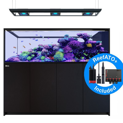 RED SEA REEFER MAX Peninsula S-950 G3 - Schwartz