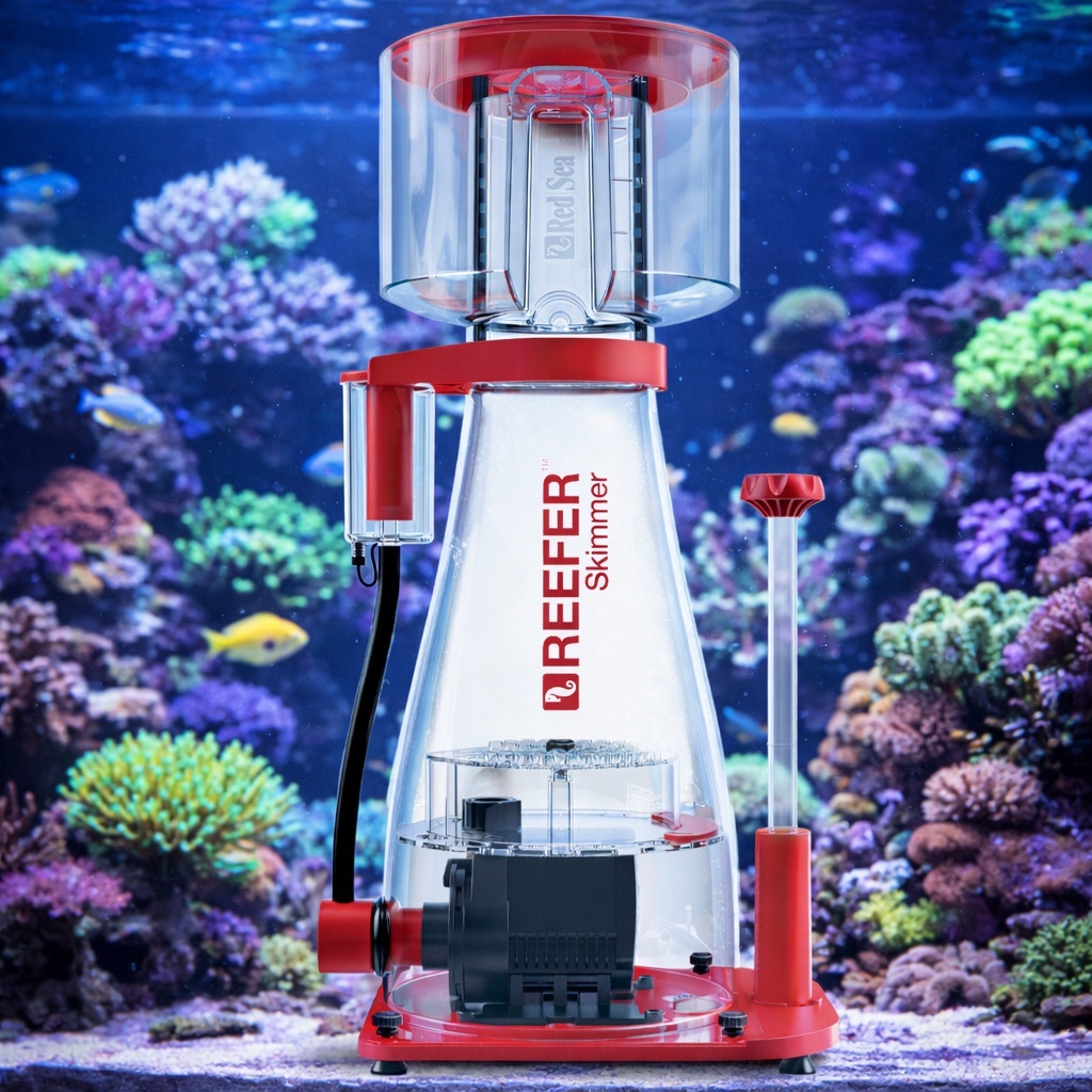 Meerwasseraquarium-Abschäumer: kompletter Kaufberater